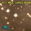 Cl* NGC 1893   HOAG      17