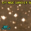 Cl* NGC 1893   HOAG      15