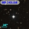 HD 243110