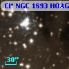 Cl* NGC 1893   HOAG      29