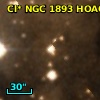 Cl* NGC 1893   HOAG      24
