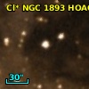 Cl* NGC 1893   HOAG      26