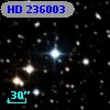 HD 236003
