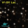 V* DY Lac