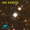 HD 243070