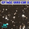 Cl* NGC 1893    CUF    1109