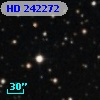 HD 242272