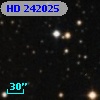 HD 242025