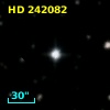 HD 242082