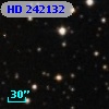 HD 242132