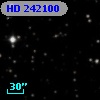 HD 242100
