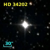 HD  34202