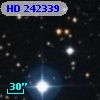 HD 242339