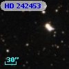 HD 242453