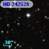 HD 242528