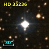 HD  35236