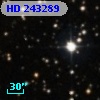 HD 243289