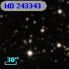 HD 243343