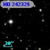 HD 242328