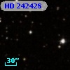 HD 242428