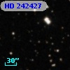 HD 242427