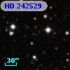 HD 242529