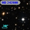 HD 242800