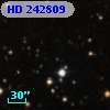 HD 242809