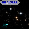 HD 242888