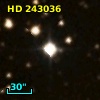 HD 243036