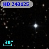 HD 243125