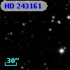 HD 243161