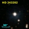 HD 243202