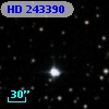 HD 243390