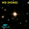 HD 243462