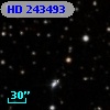 HD 243493