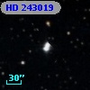 HD 243019