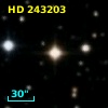HD 243203