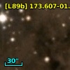 [L89b] 173.607-01.733