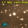 Cl* NGC 1893   HOAG      19