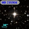 HD 235956