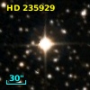 HD 235929