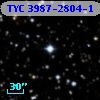 TYC 3987-2804-1