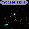 TYC 2394-313-1