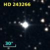 HD 243266