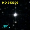 HD 243309