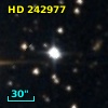 HD 242977