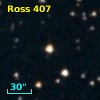 Ross  407