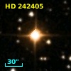 HD 242405