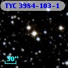 TYC 3984-103-1